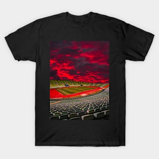 Soccer Stadium T-Shirt